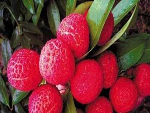 Ce ştim despre fructele exotice?