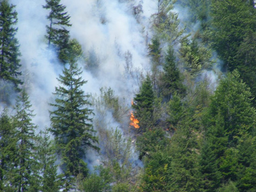 Maramureş: Incendiul de pădure din marginea cătunului Bloaja, nestins